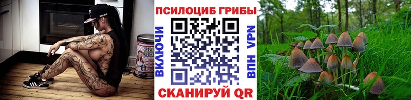 Галлюциногенные грибы прущие грибы  Купить закладки  Петровск 